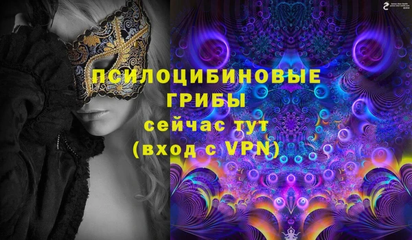 мдпв Беломорск