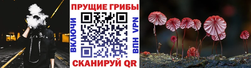 Псилоцибиновые грибы мицелий  Буинск 